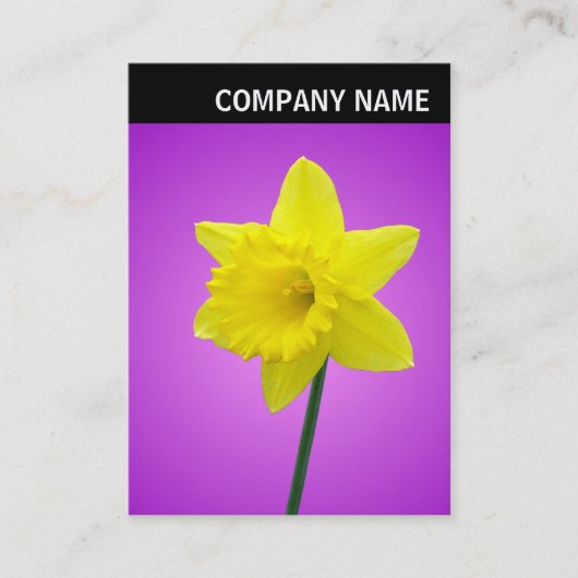 V-koptekst - Foto - Daffodil Visitekaartje (Voorkant)