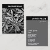 V-koptekst - Foto - Rhododendron Leaves Visitekaartje (Voorkant / Achterkant)