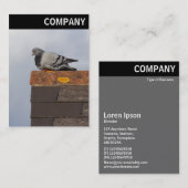 V-koptekst - Good Morning Pigeon Visitekaartje (Voorkant / Achterkant)