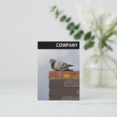 V-koptekst - Good Morning Pigeon Visitekaartje (Staand voorkant)