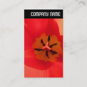 V-koptekst - Inside a Tulip Visitekaartje