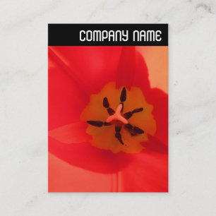 V-koptekst - Inside a Tulip Visitekaartje