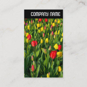 V-koptekst - kleurrijke Tulpen II Visitekaartje