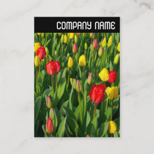V-koptekst - kleurrijke Tulpen II Visitekaartje
