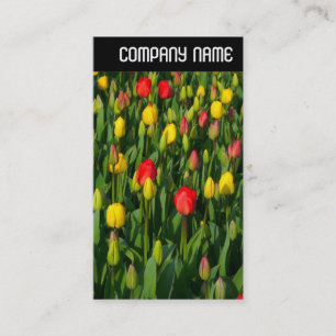 V-koptekst - kleurrijke Tulpen Visitekaartje