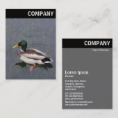 V-koptekst - Mallard Duck Visitekaartje (Voorkant / Achterkant)