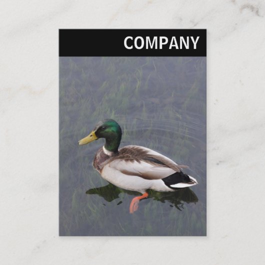 V-koptekst - Mallard Duck Visitekaartje (Voorkant)