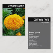 V-koptekst - Oranje chrysanthemum Visitekaartje (Voorkant / Achterkant)