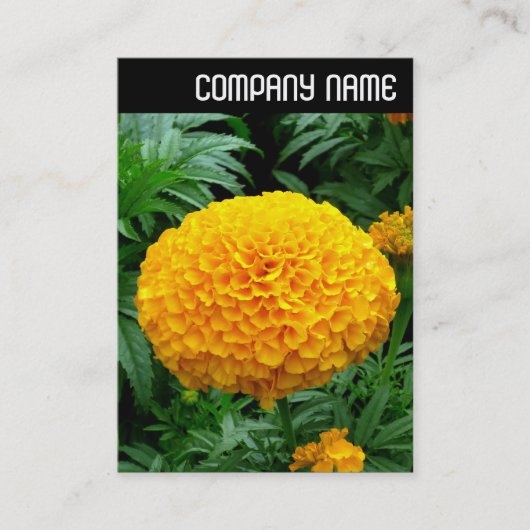 V-koptekst - Oranje chrysanthemum Visitekaartje (Voorkant)