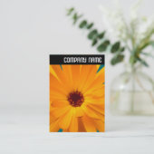 V-koptekst - Oranje Marigold Visitekaartje (Staand voorkant)