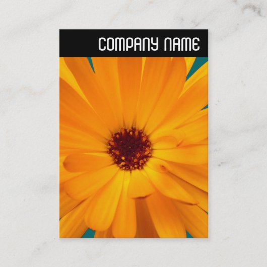 V-koptekst - Oranje Marigold Visitekaartje (Voorkant)