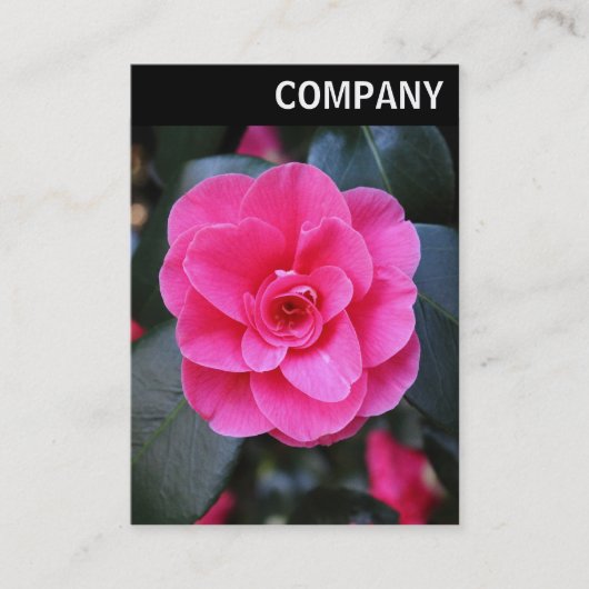 V-koptekst - roze camellia visitekaartje (Voorkant)