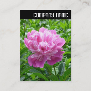 V-koptekst - Roze Peony Visitekaartje