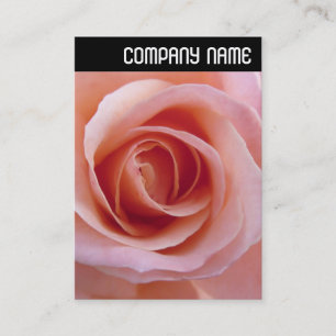 V-koptekst - Roze Rose Visitekaartje