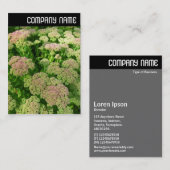 V-koptekst - Sedum "Autumn Joy" Visitekaartje (Voorkant / Achterkant)