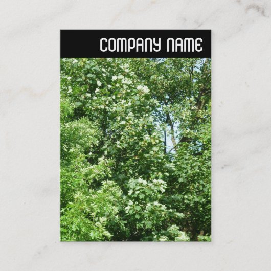 V-koptekst - Summer Breeze Visitekaartje (Voorkant)