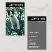 V-koptekst - Superluiheid van helderheid Visitekaartje (Voorkant / Achterkant)