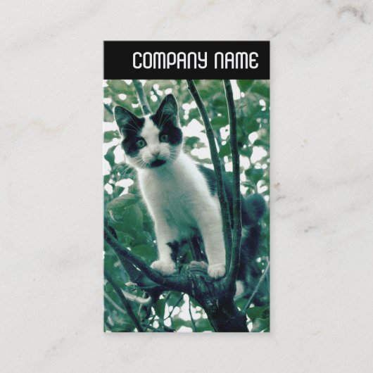 V-koptekst - Superluiheid van helderheid Visitekaartje (Voorkant)