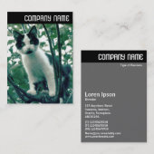 V-koptekst - Superluiheid van helderheid Visitekaartje (Voorkant / Achterkant)