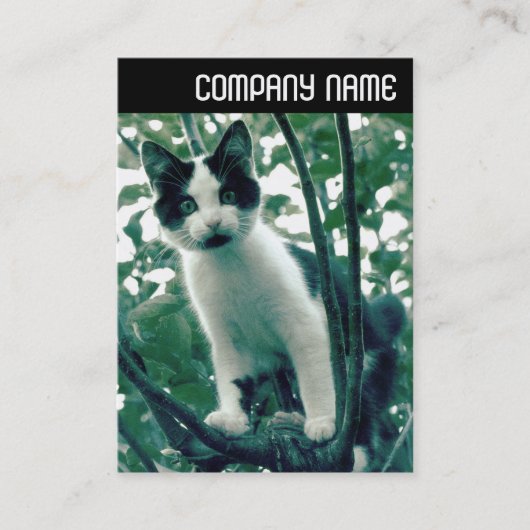 V-koptekst - Superluiheid van helderheid Visitekaartje (Voorkant)