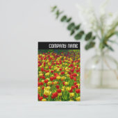 V-koptekst - Zee Tulpen Visitekaartje (Staand voorkant)