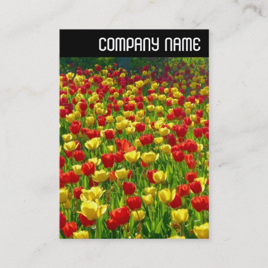 V-koptekst - Zee Tulpen Visitekaartje (Voorkant)