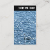 V-koptekst - Zwan Visitekaartje (Voorkant)