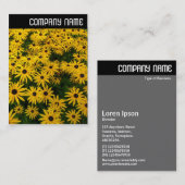 V-koptekst - zwarte geverfde Susans (Rudbeckia Hir Visitekaartje (Voorkant / Achterkant)