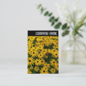 V-koptekst - zwarte geverfde Susans (Rudbeckia Hir Visitekaartje (Staand voorkant)