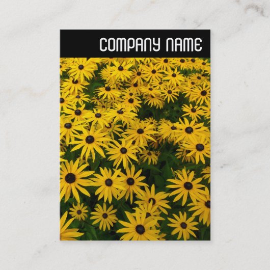 V-koptekst - zwarte geverfde Susans (Rudbeckia Hir Visitekaartje (Voorkant)