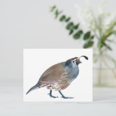 V. Kwartels/karte postale Briefkaart (Staand voorkant)