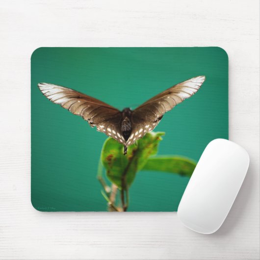 V Mousepad Muismat (Met muis)
