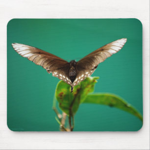 V Mousepad Muismat
