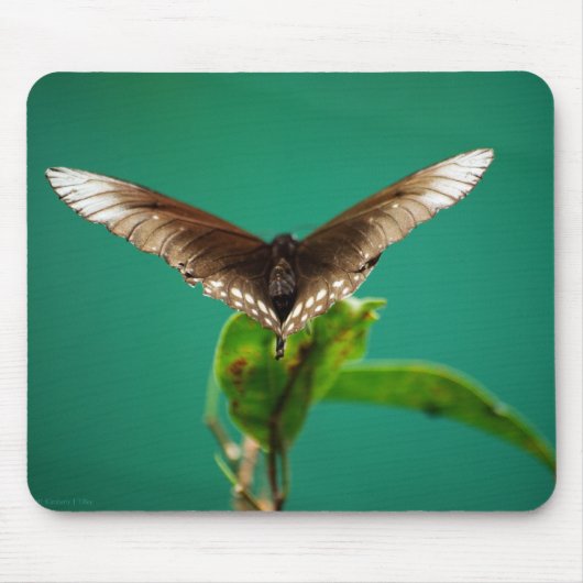 V Mousepad Muismat (Voorkant)