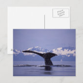 V.S., Alaska, Inside Passage Bultrug Briefkaart (Voorkant / Achterkant)