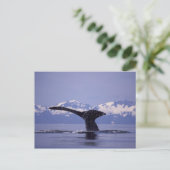 V.S., Alaska, Inside Passage Bultrug Briefkaart (Staand voorkant)