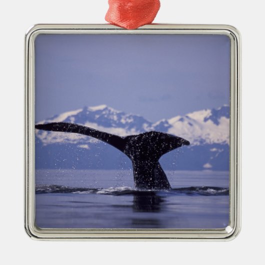 V.S., Alaska, Inside Passage Bultrug Metalen Ornament (Voorkant)