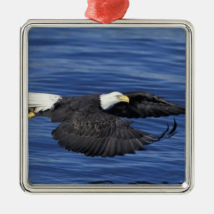 V.S., Alaska, Kenai schiereiland Zeearend Metalen Ornament