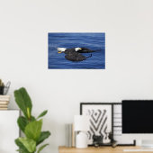 V.S., Alaska, Kenai schiereiland Zeearend Poster (Thuiskantoor)