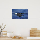 V.S., Alaska, Kenai schiereiland Zeearend Poster (Keuken)