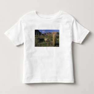 V.S., Arizona, Organ Pipe National Monument. Kinder Shirts