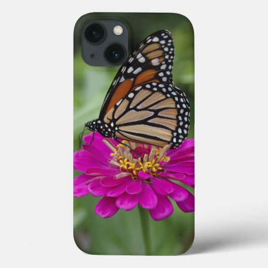 V.S., Massachusetts, Boylston, Tower Hill Case-Mate iPhone Case (Achterkant)