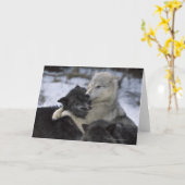 V.S., Montana die, Wolven in sneeuw de spelen Kaart (Gele Bloem)