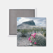 V.S., Texas, Big Bend National Park. Bloeiend Magneet (Voorkant / Achterkant)