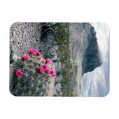 V.S., Texas, Big Bend National Park. Bloeiend Magneet (Horizontaal)