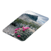 V.S., Texas, Big Bend National Park. Bloeiend Magneet (Linkerzijde)