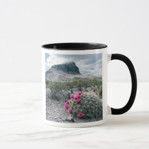 V.S., Texas, Big Bend National Park. Bloeiend Mok