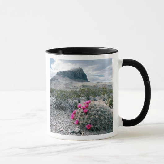 V.S., Texas, Big Bend National Park. Bloeiend Mok (Rechts)