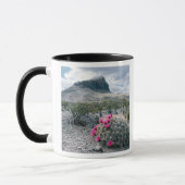 V.S., Texas, Big Bend National Park. Bloeiend Mok (Links)