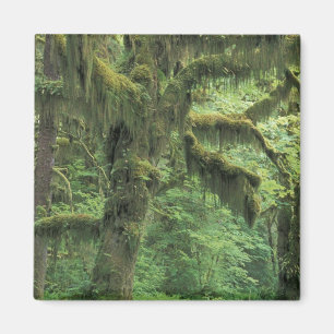 V.S., Washington, Olympic National Park. Magneet